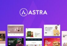 Astra Theme 4.12.0 + Portfolio 1.13.3 – Most Popular WordPress Theme Astra Theme 4.12.0 + Portfolio 1.13.3 – Most Popular WordPress Theme
